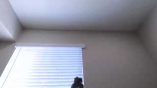 Christy Love - BBC Blowjob Bonanza