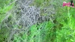 Outdoor amateur anal and ass to mouth with german skinn